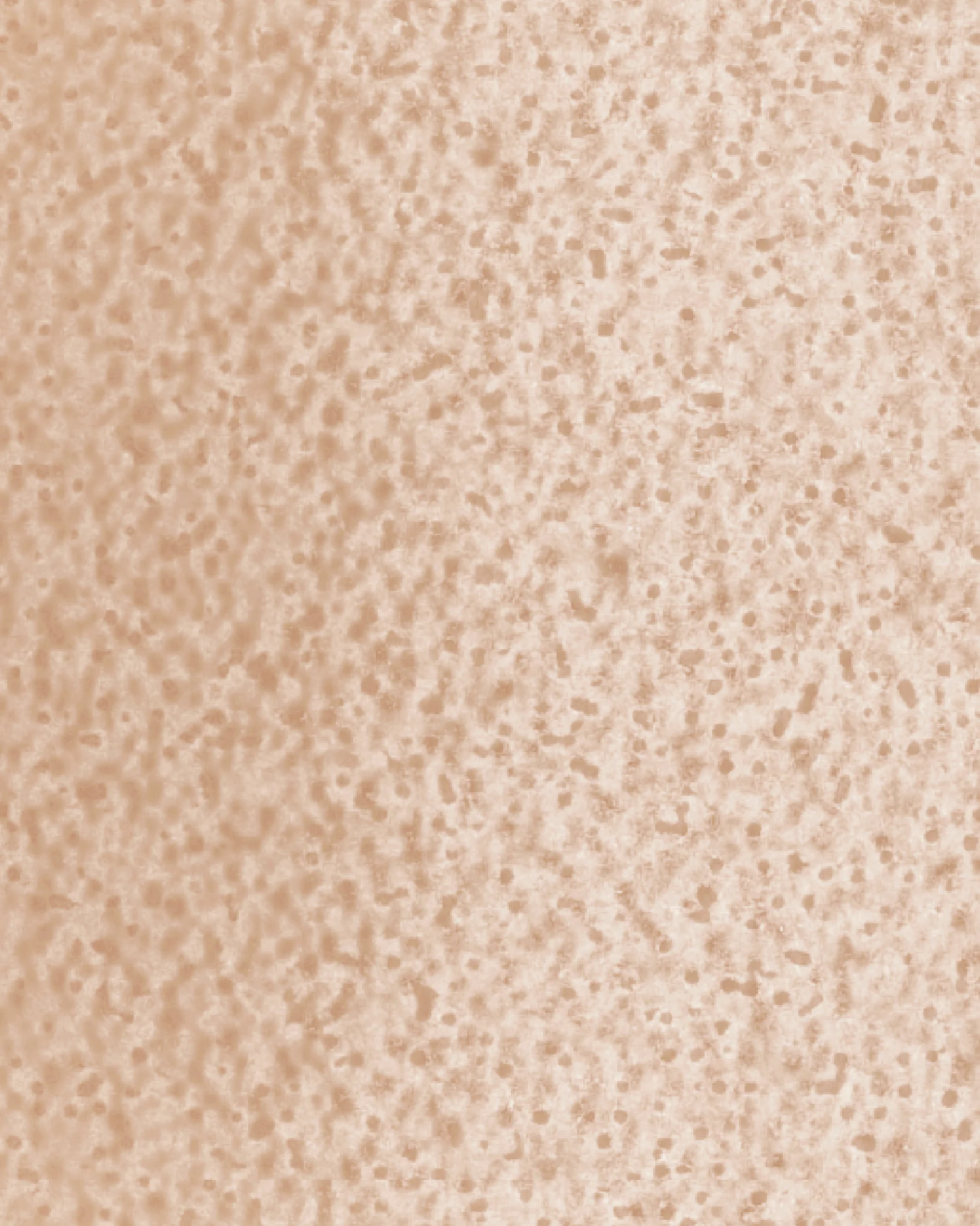 The Dewy Day Refill - Image 17