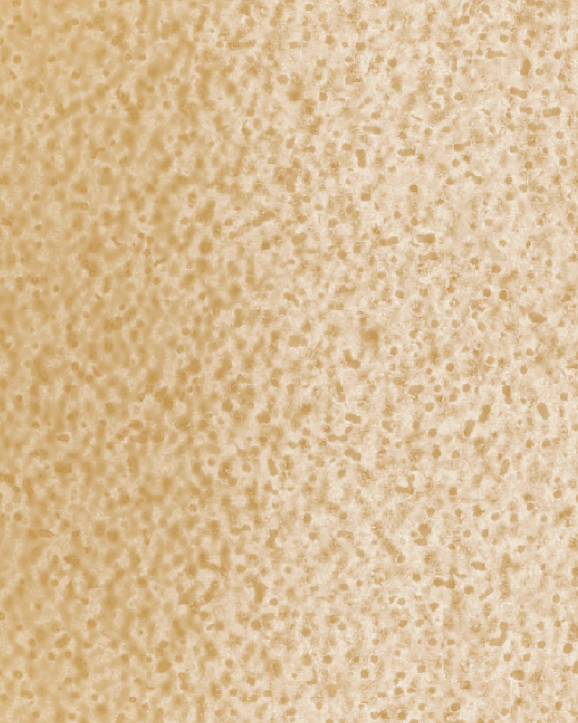 The Dewy Day Refill - Image 18