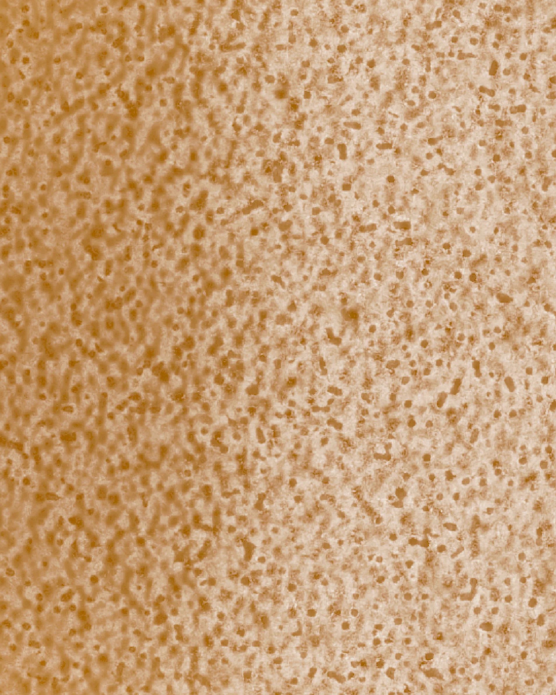 The Dewy Day Refill - Image 19