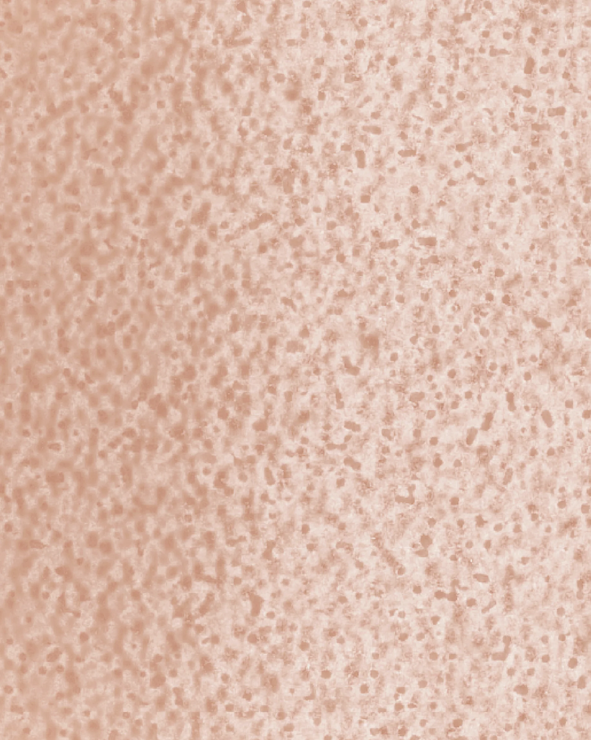 The Dewy Day Refill - Image 25