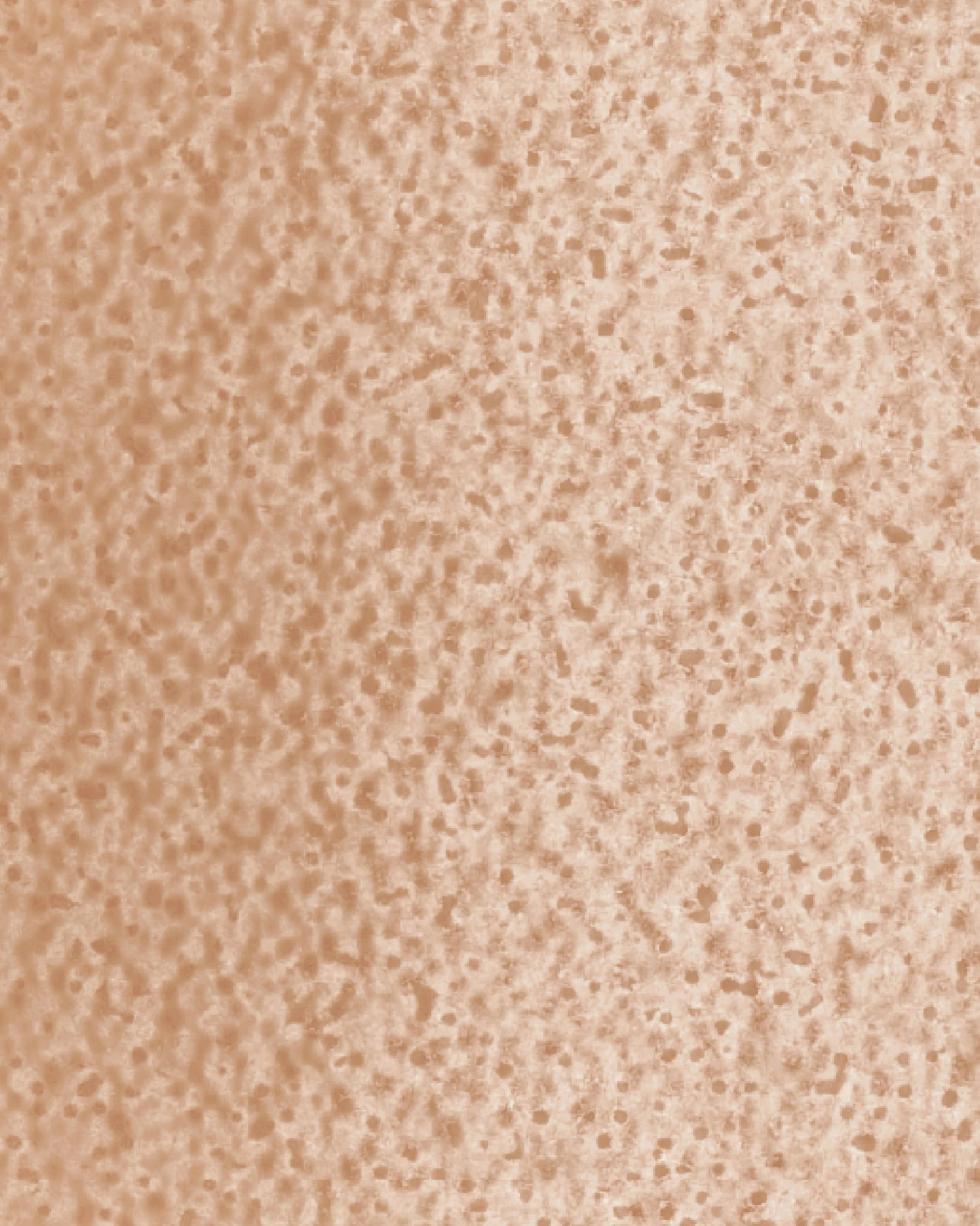 The Dewy Day Refill - Image 26