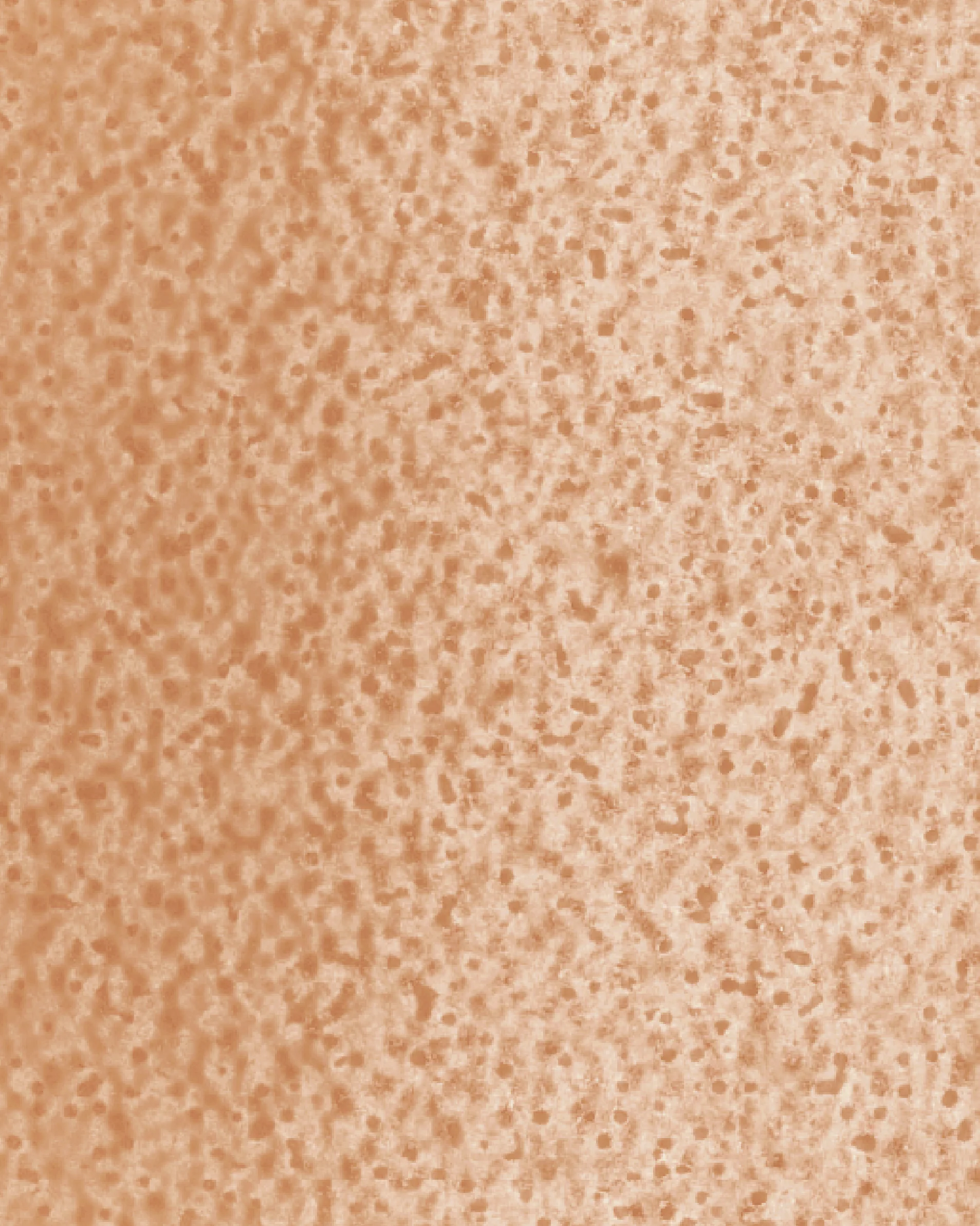 The Dewy Day Refill - Image 29