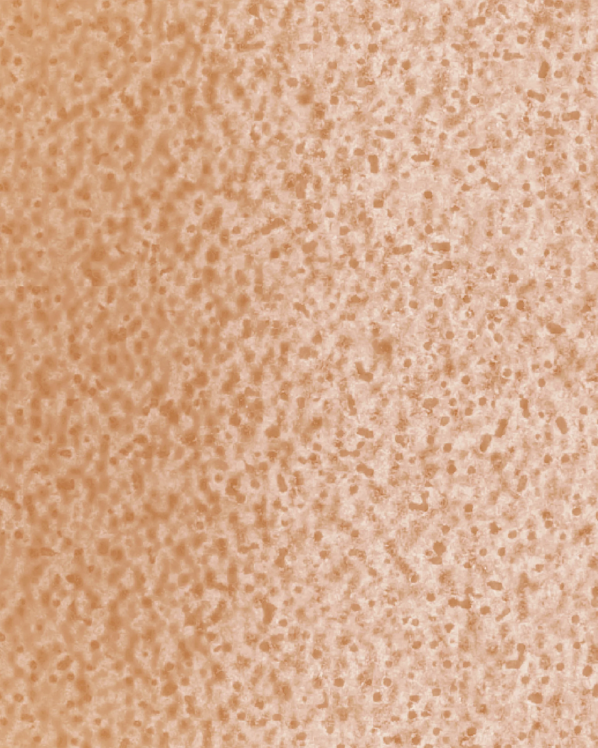 The Dewy Day Refill - Image 30