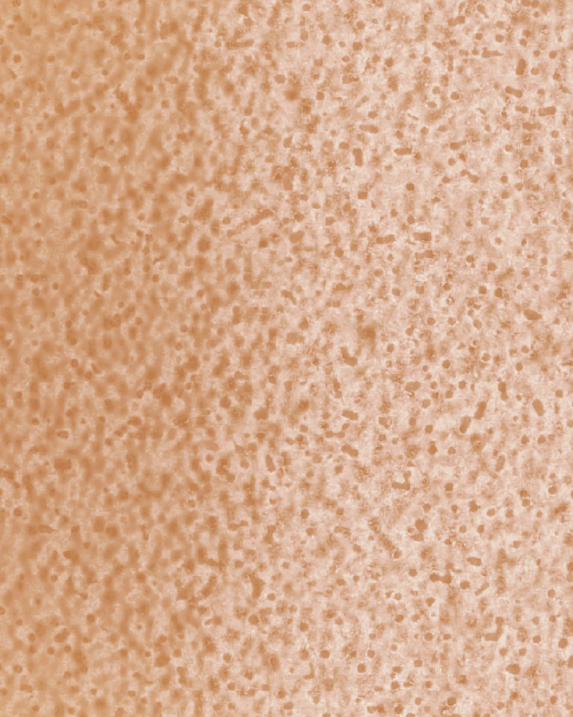 The Dewy Day Refill - Image 32