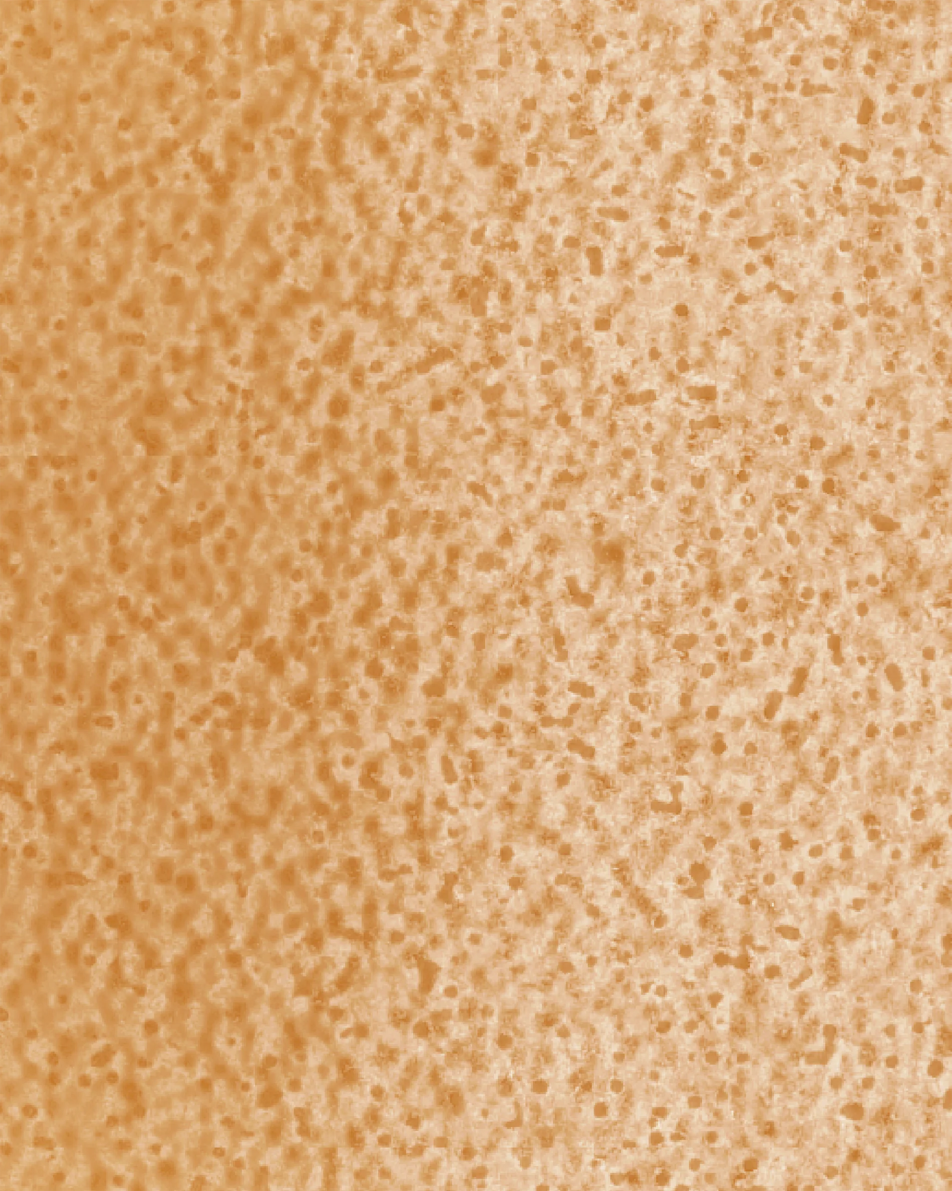 The Dewy Day Refill - Image 35